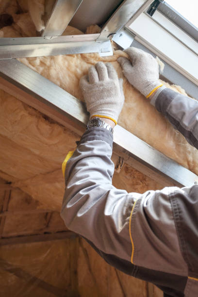 Best Insulation for Existing Homes  in Raoul, GA